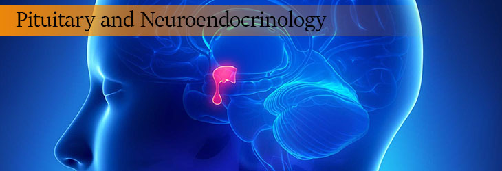 Pituitary and Neuroendocrinology
